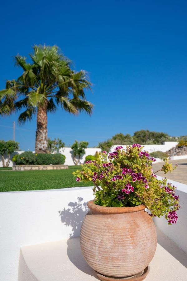 Georgia'S Apartments Kouremenos Beach Anevato Buitenkant foto